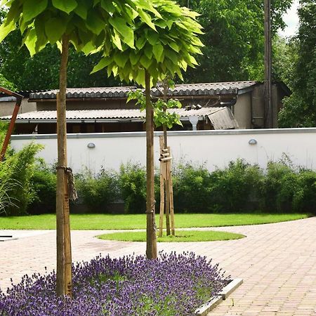 Villa Veda 策德尼克 外观 照片